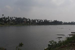 Madipakkam Lake View Road - places-to-visit-near-chennai-airport