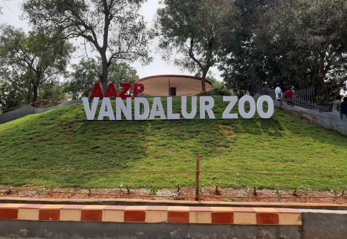 vandalur zoo